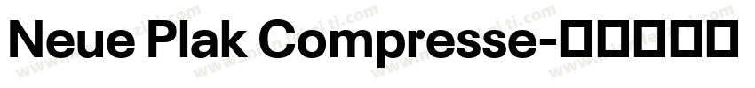 Neue Plak Compresse字体转换